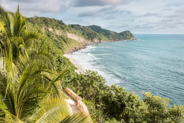 Palm-framed view of Playa Escondida